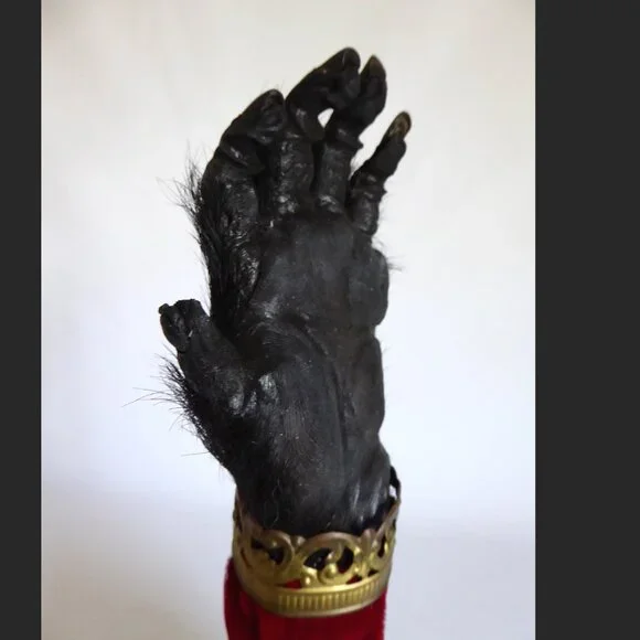 16” REAL TAXIDERMY “CURSED” MONKEY PAW HAND IN GLASS DOME DISPLAY BASE ODDITY - Picture 14 of 15